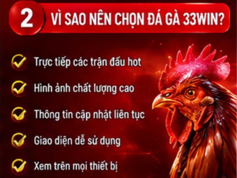 Đá gà 33WIN có gì hấp dẫn