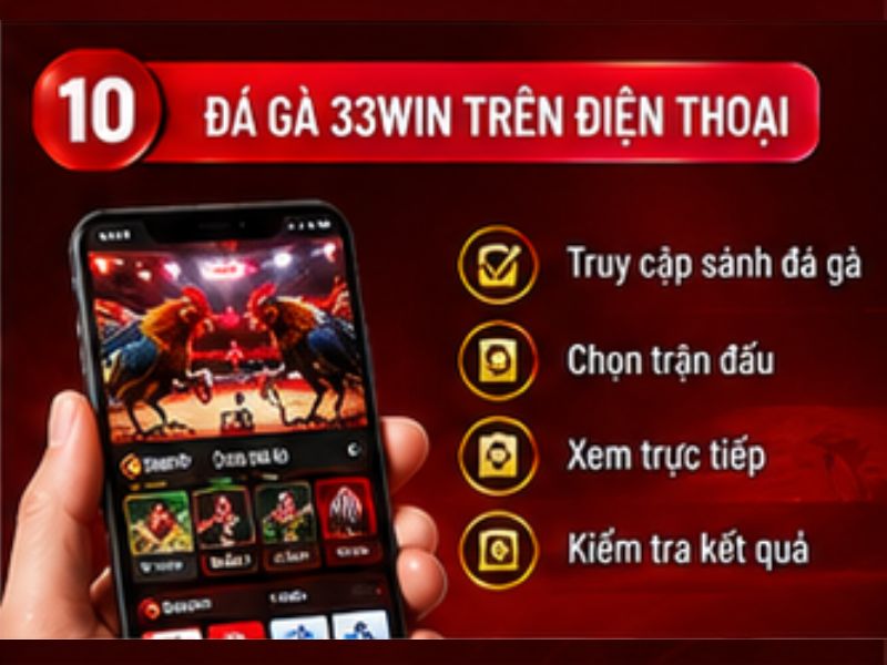 Đá gà 33WIN trên điện thoại