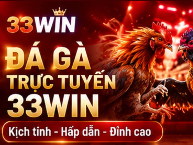 Đá gà 33WIN