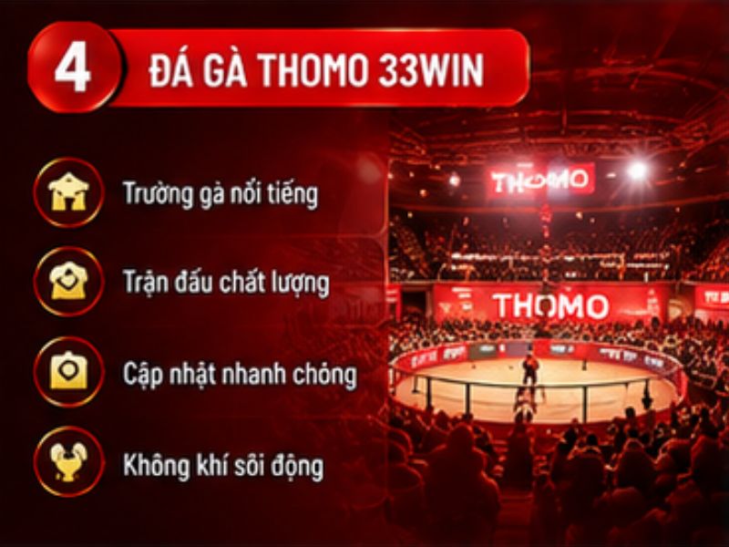 Đá gà Thomo 33WIN