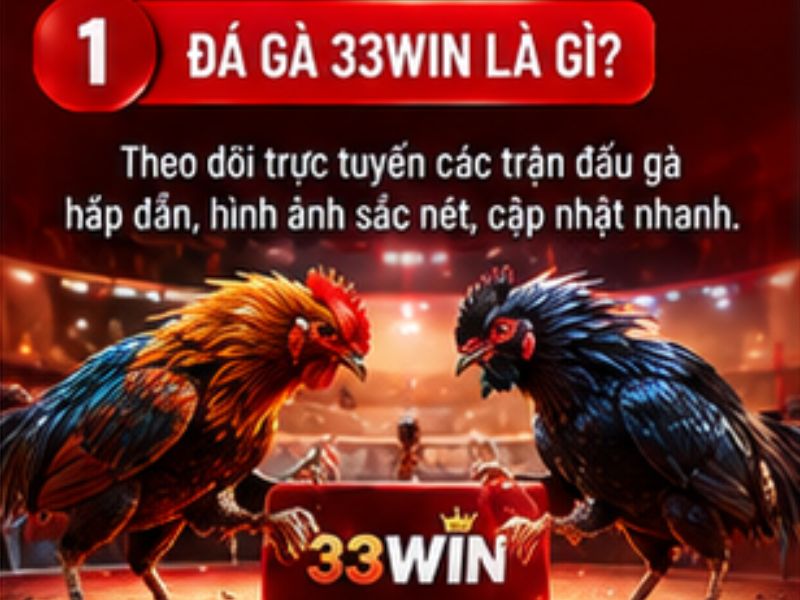 Đá gà trực tuyến 33WIN là gì?