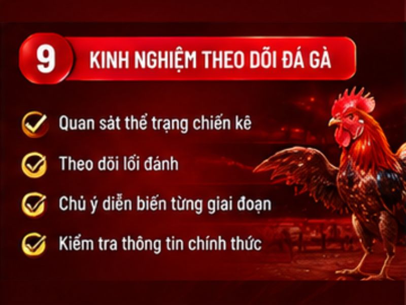 Kinh nghiệm theo dõi đá gà 33WIN
