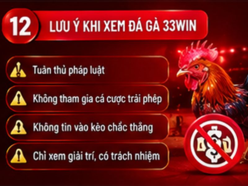Một số lưu ý khi xem đá gà trực tuyến