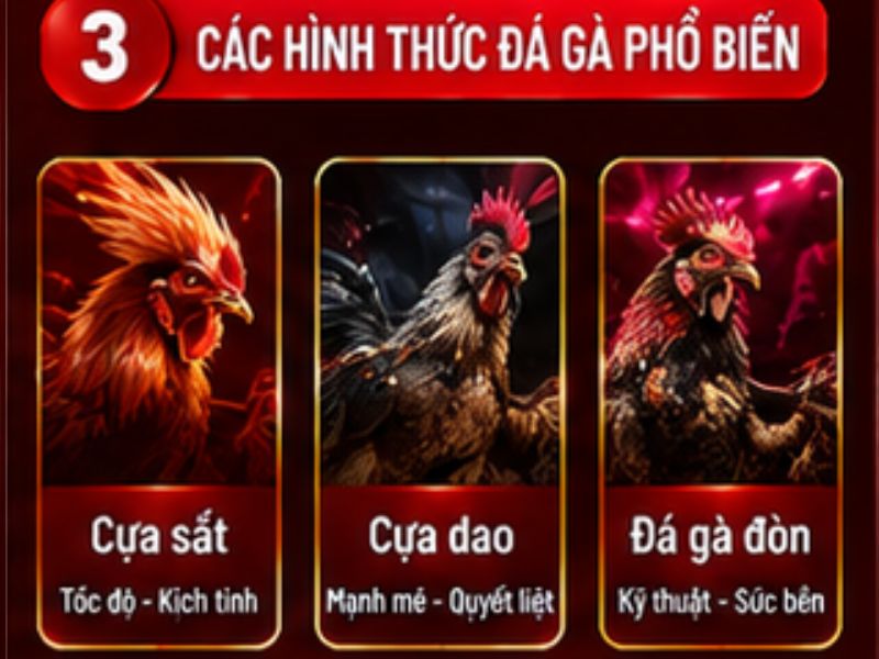 Những hình thức đá gà thường được quan tâm