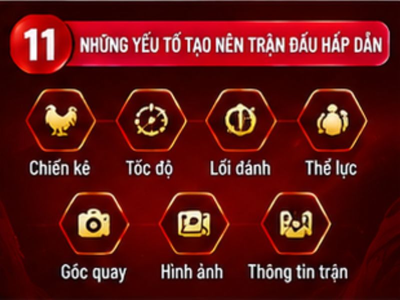 Những yếu tố tạo nên một trận đá gà hấp dẫn