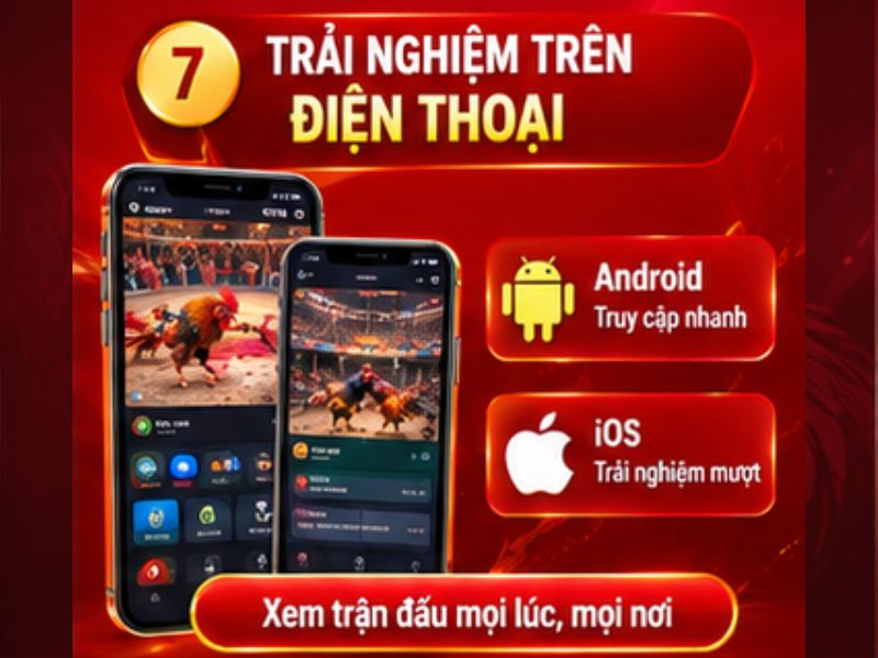 Trải Nghiệm Đá Gà Thomo 33WIN Trên Điện Thoại