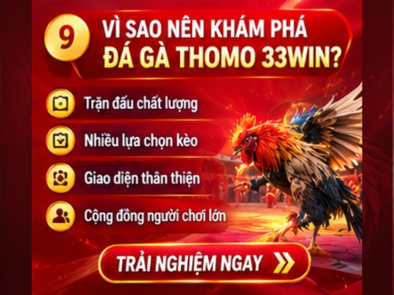 Vì Sao Nên Khám Phá Đá Gà Thomo 33WIN