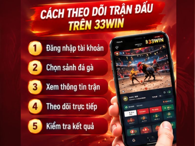 Cách Theo Dõi Đá Gà Cựa Dao 33WIN