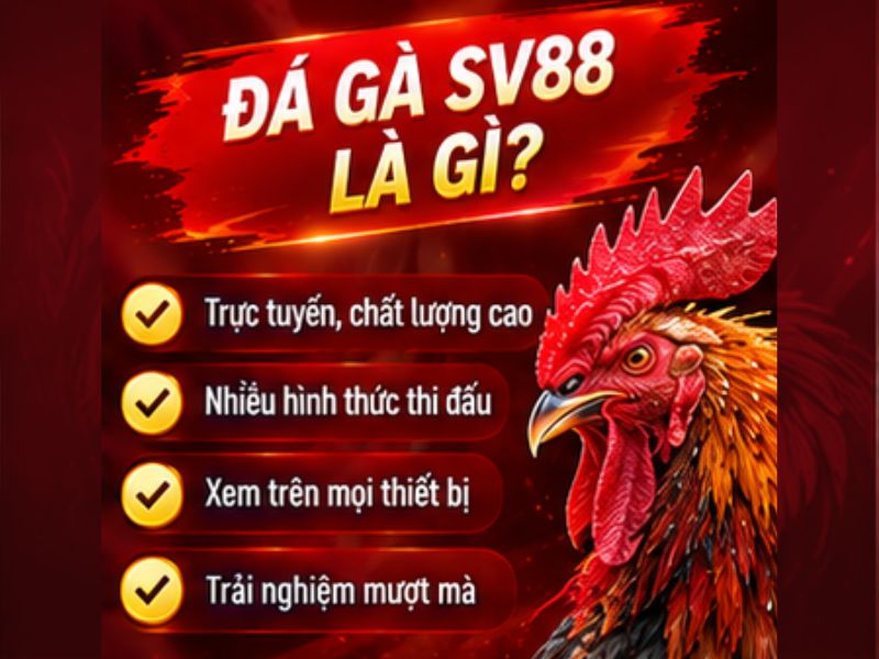 Đá Gà SV88 Là Gì?