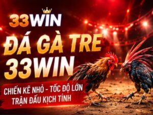 Đá gà tre 33WIN