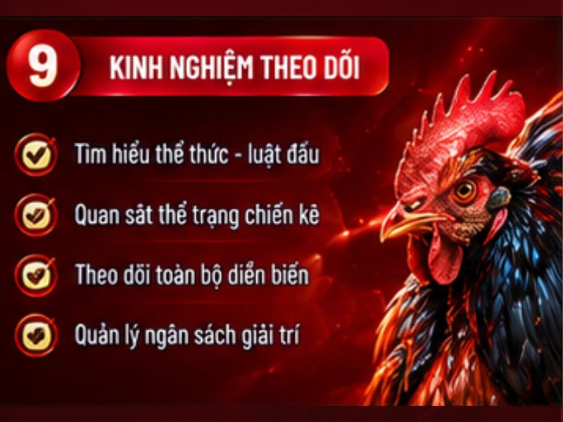 Kinh nghiệm theo dõi đá gà cựa sắt 33WIN