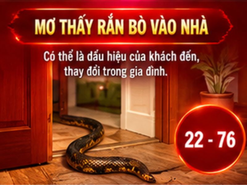 Mơ thấy rắn bò vào nhà
