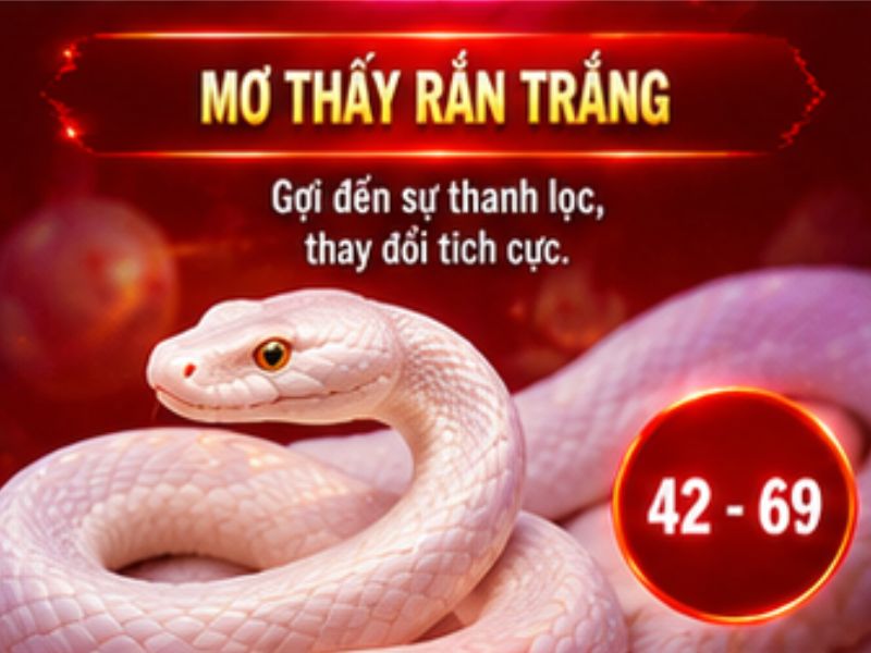 Mơ thấy rắn trắng