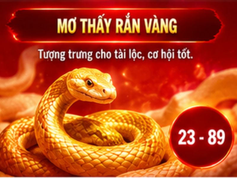 Mơ thấy rắn vàng
