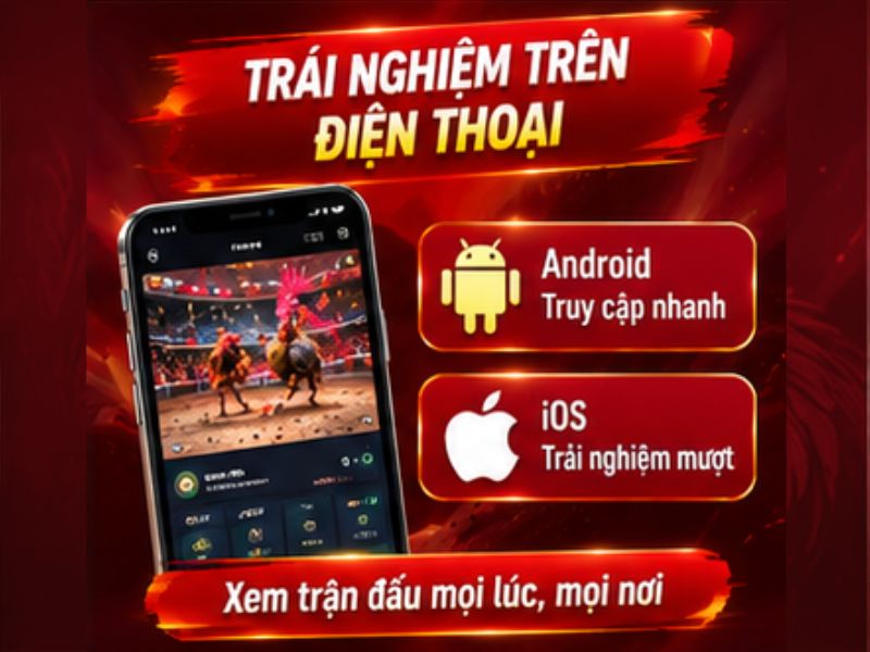 Trải Nghiệm Đá Gà Cựa Dao 33WIN Trên Điện Thoại