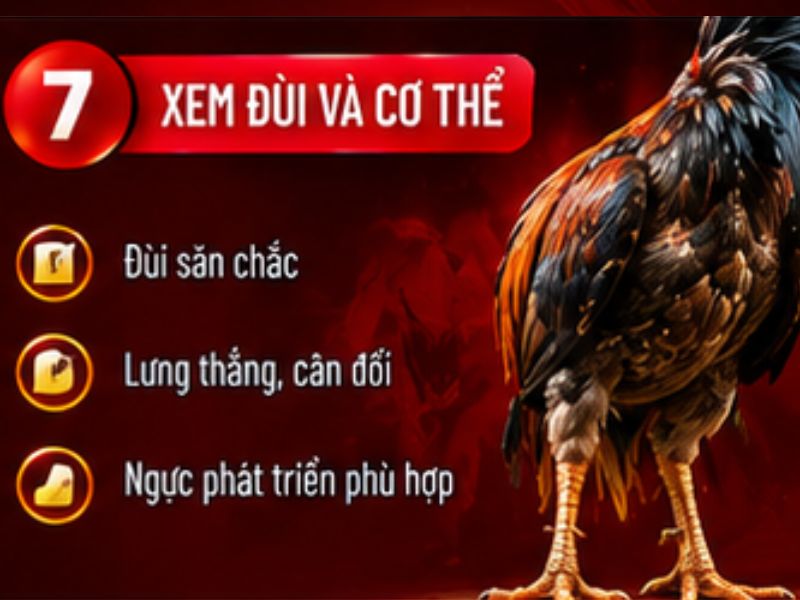 Xem phần đùi và cơ thể